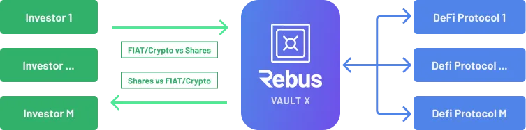 Structure of a generic Vault X